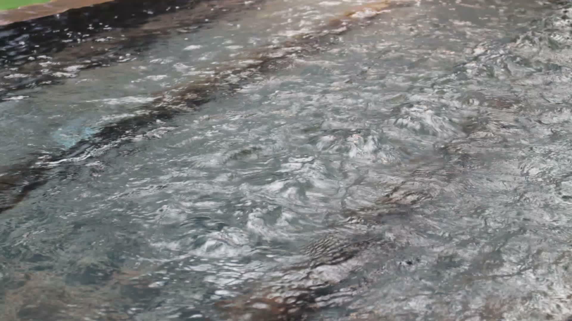 池塘中的现代外部水流视频的预览图