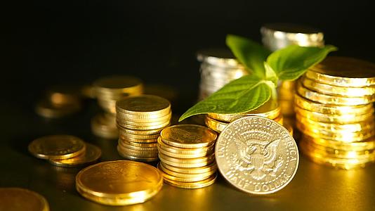 黑色背景下的金币和新芽绿叶金融业务抵押和银行业务概念视频的预览图