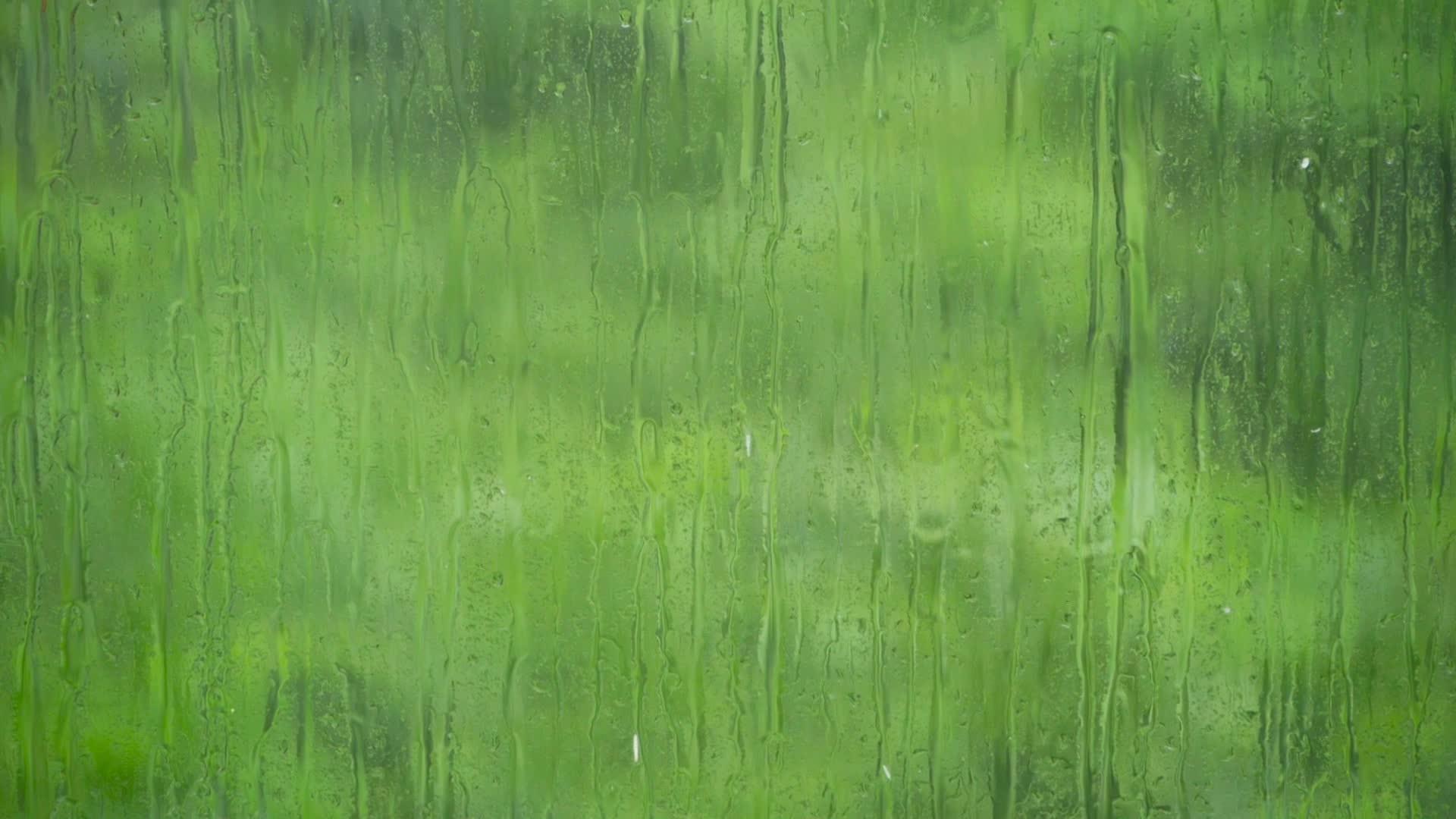 雨滴落在玻璃表面面对着多汁的绿色视频的预览图