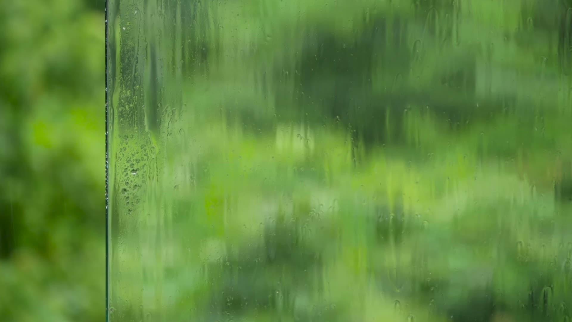 雨滴落在玻璃表面面对着多汁的绿色视频的预览图
