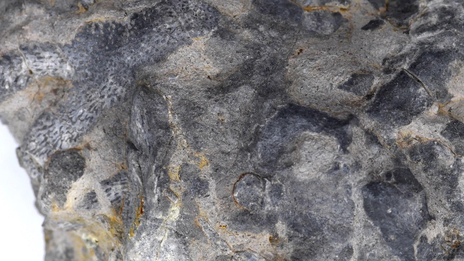 石灰石和珊瑚石在转盘桌上视频的预览图