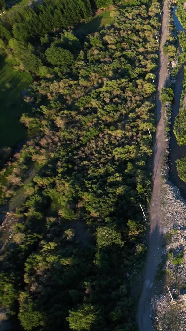 夏季伊犁草原河谷湿地河流视频视频的预览图