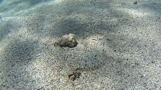 沙质海底热带海洋热带海洋视频的预览图
