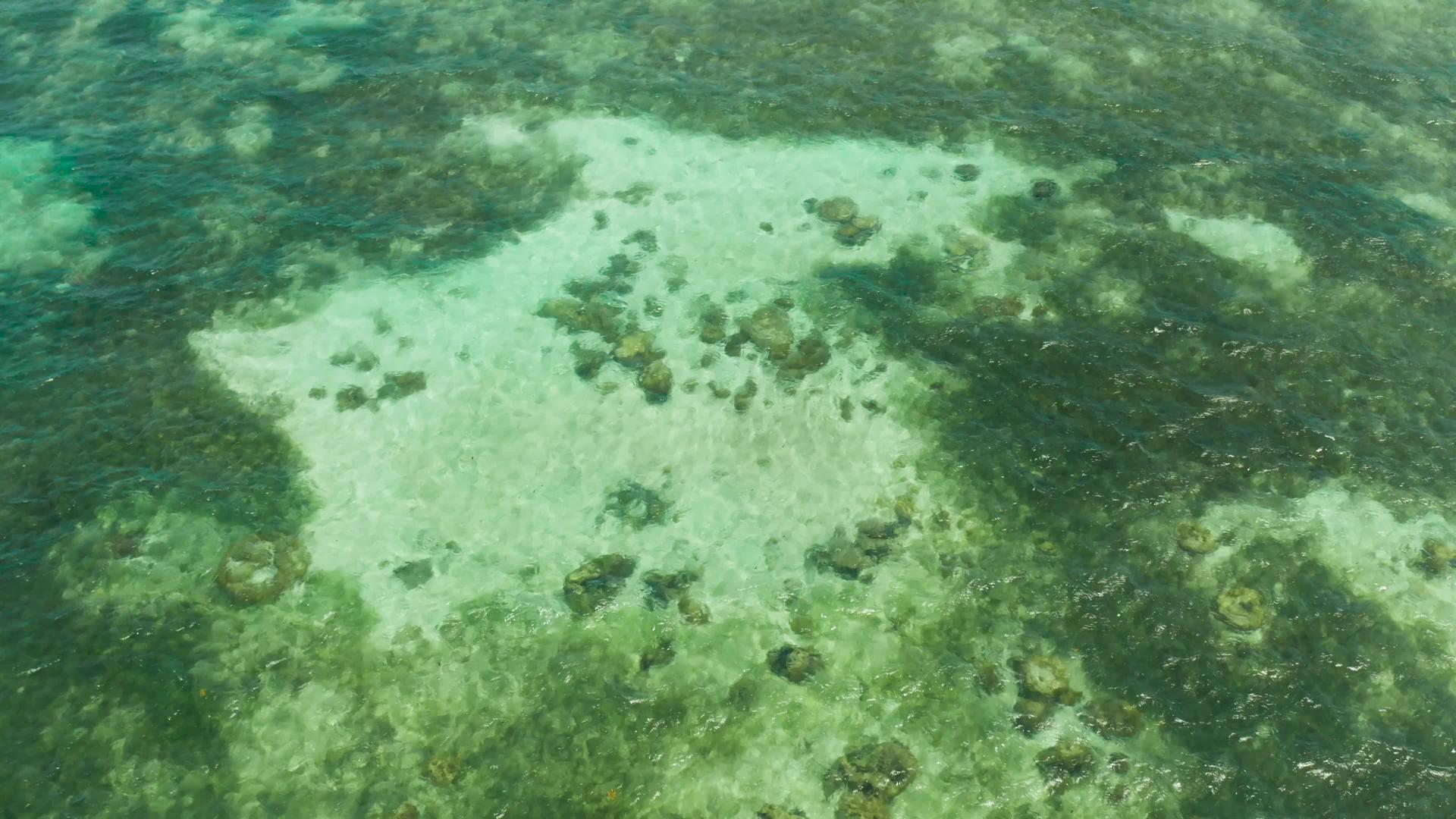 热带风格的蓝海和珊瑚礁视频的预览图