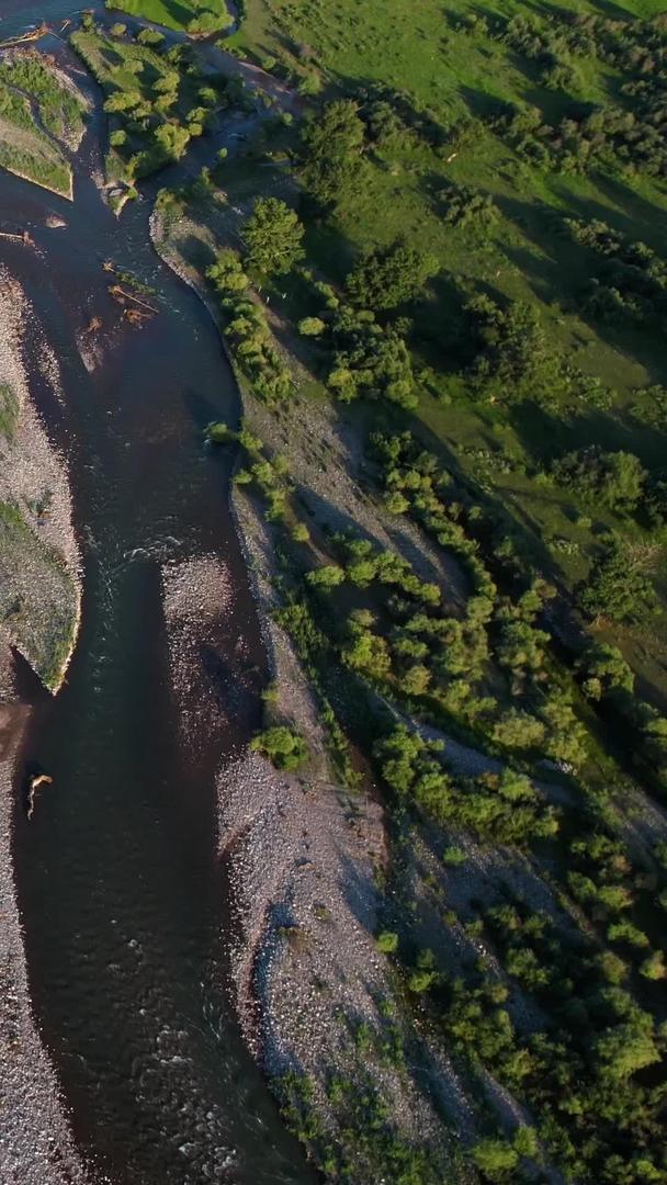夏季伊犁草原河谷湿地河流视频视频的预览图