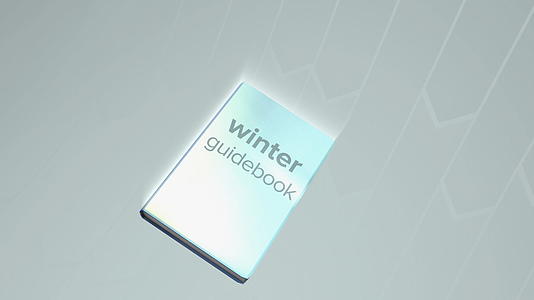 动画中的冬季指导手册视频的预览图