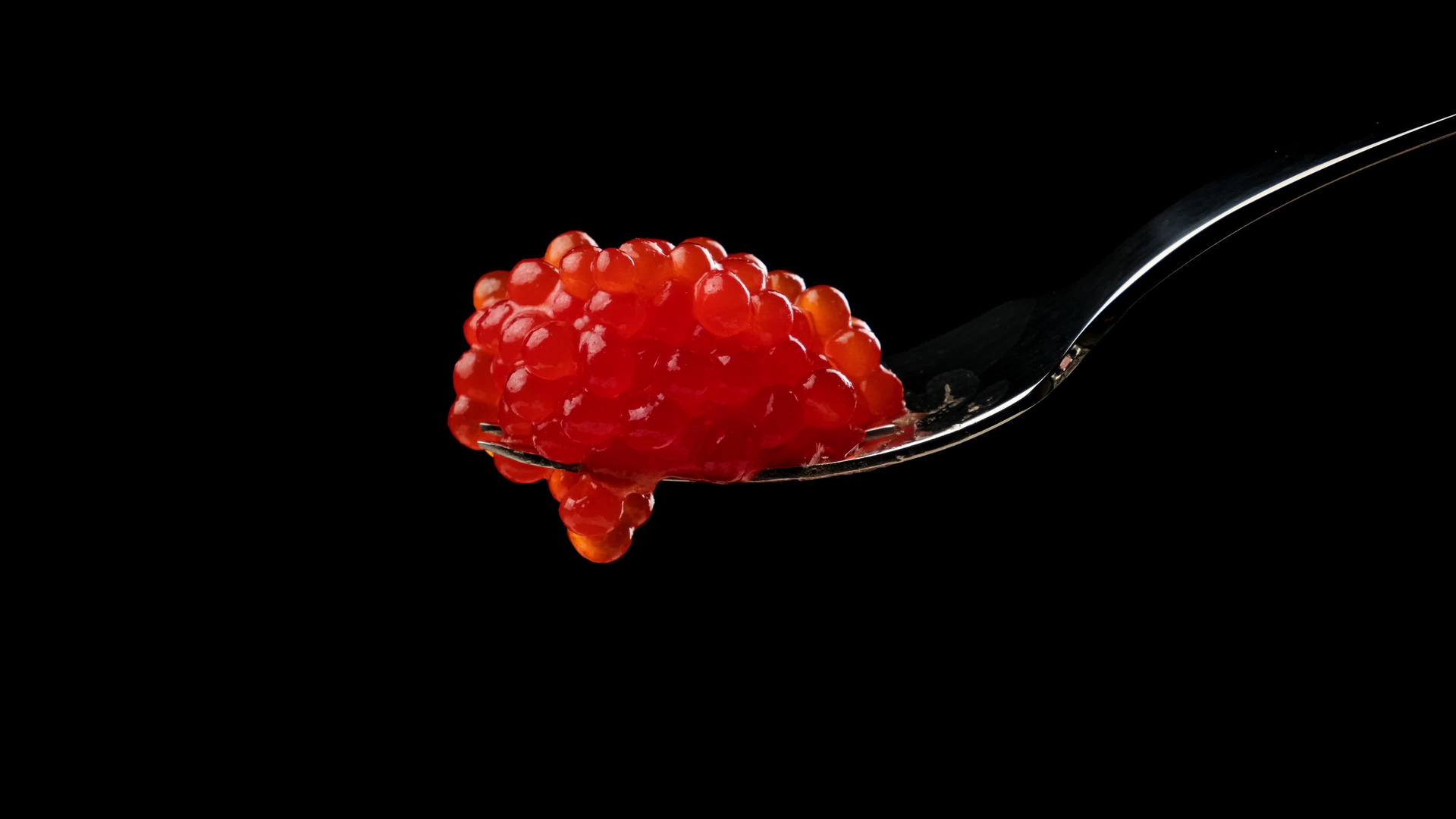 红鲑鱼鱼子酱黑色背景金属叉美味健康的食物视频的预览图
