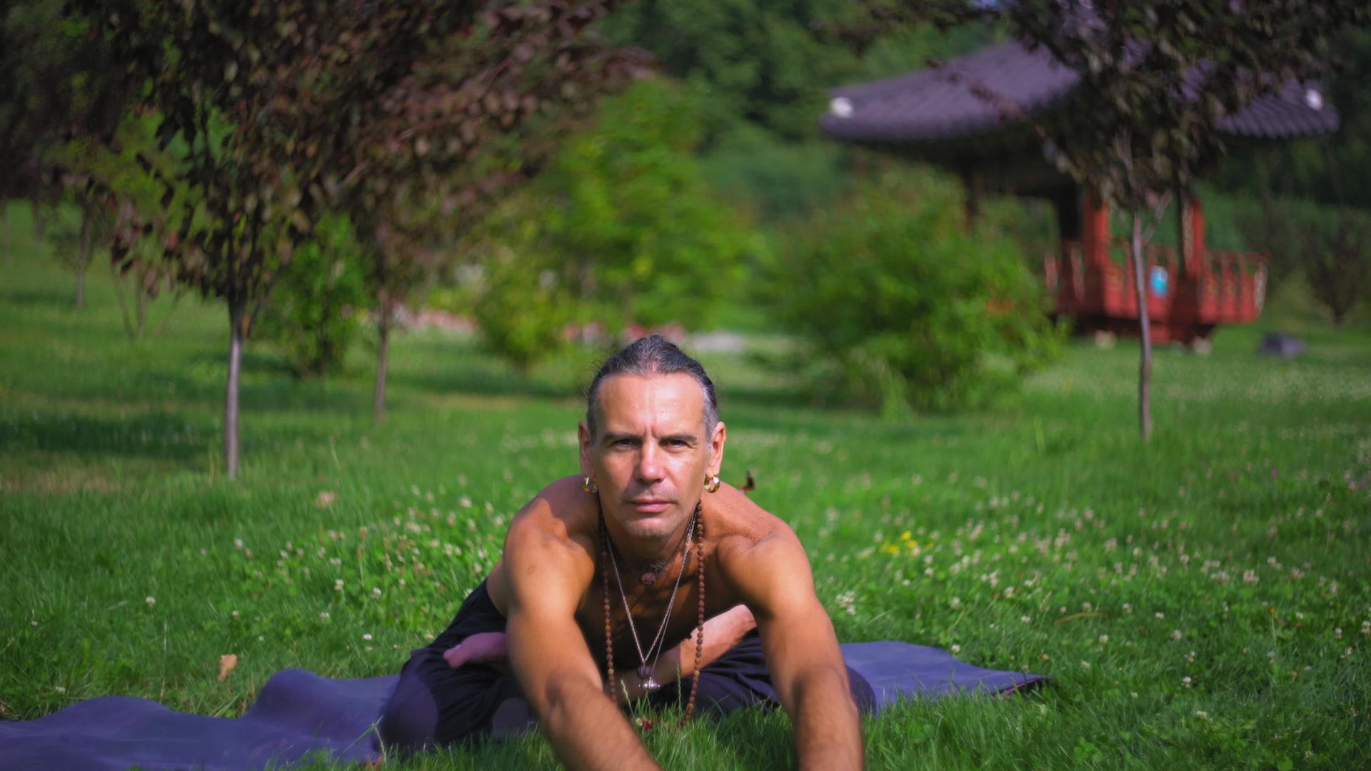 草地上的人在公园瑜伽视频的预览图