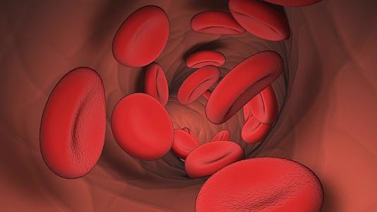 血液细胞在血管中流动视频的预览图