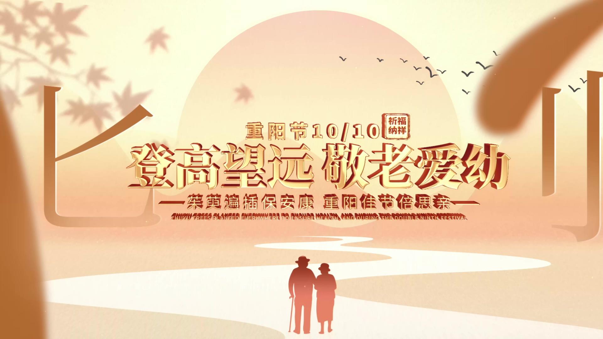简洁清新的重阳节片头展示AE模板视频的预览图
