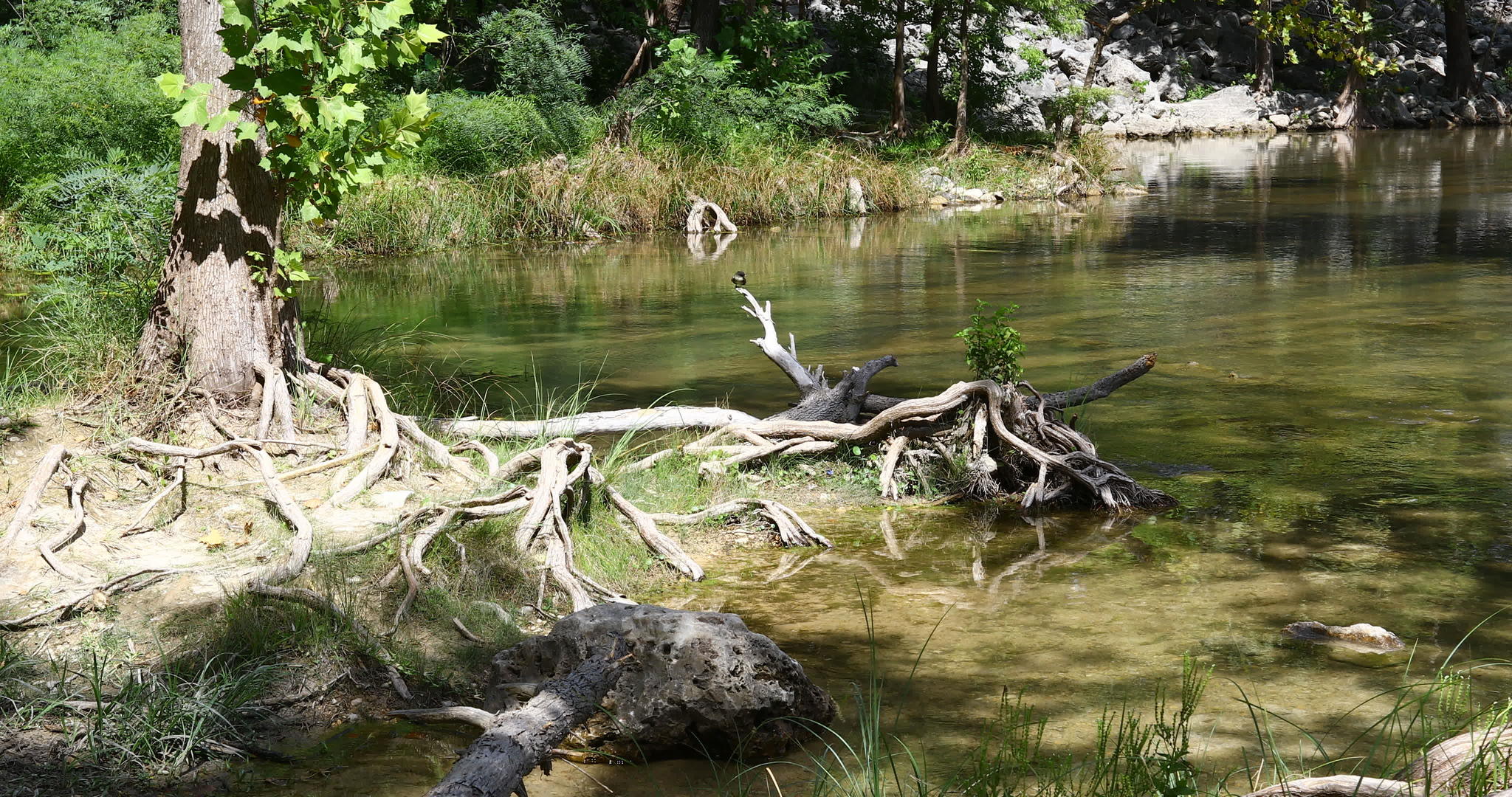 德克萨斯河中的夸达卢普河视频的预览图