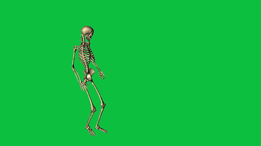 3D骨骼事故动画坠落视频的预览图
