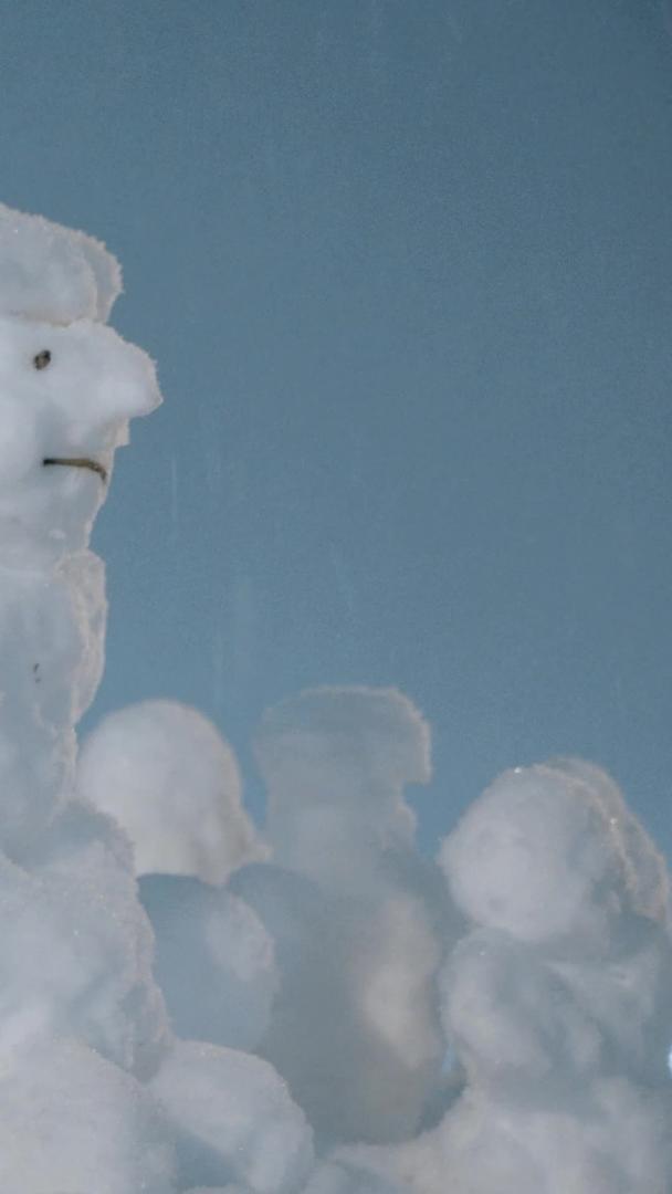 雪花落在夜晚落在雪人上视频的预览图