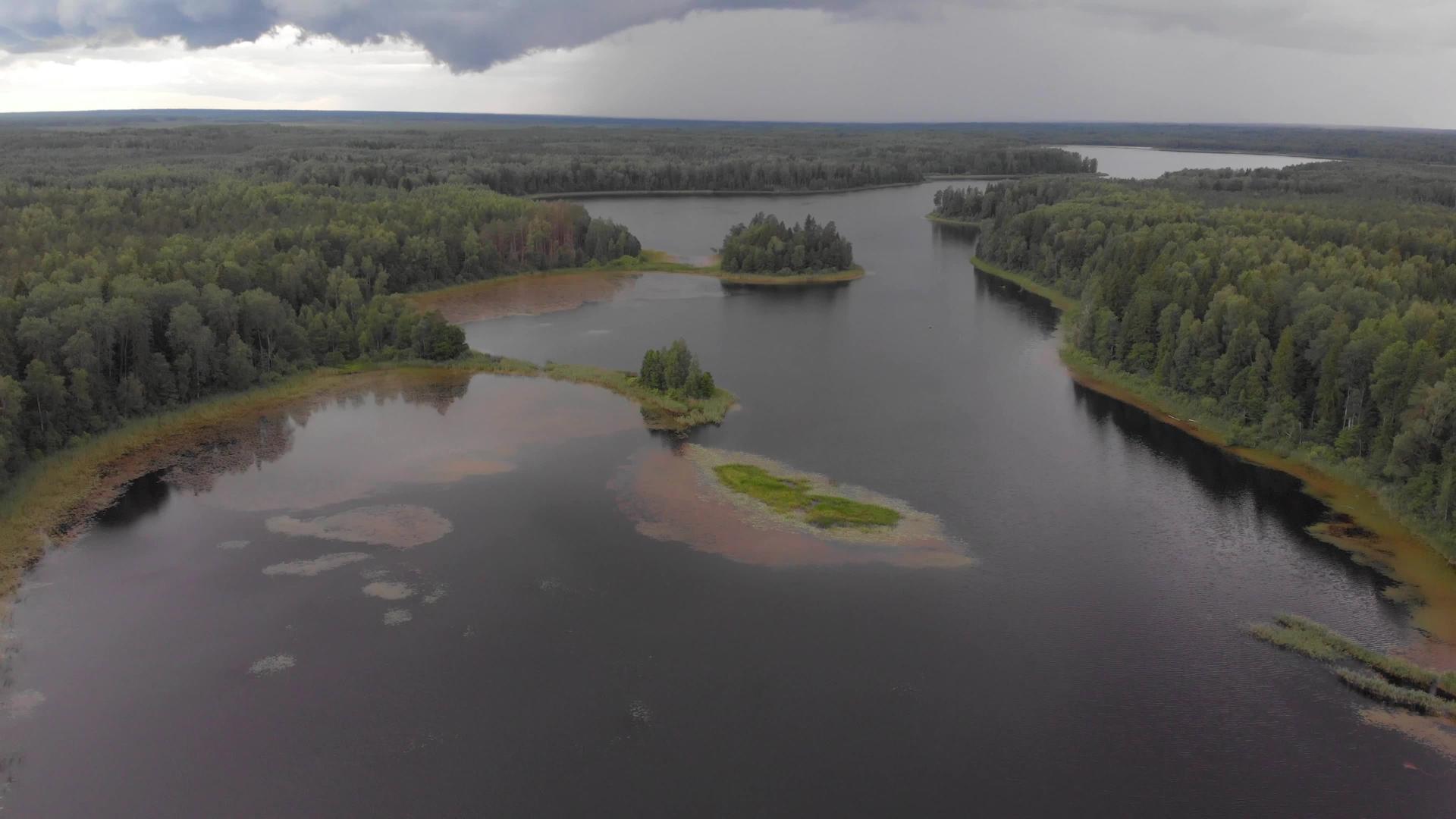 受污染的美丽森林湖在风暴中被污染视频的预览图