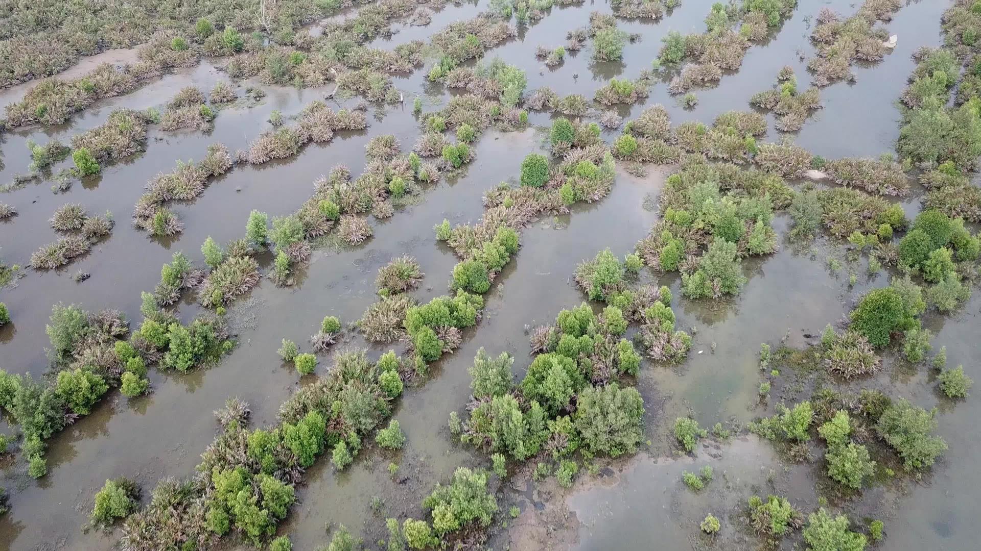 BatuKawan附近的湿地视频的预览图