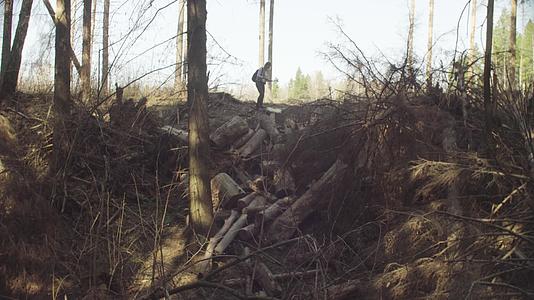 生态学家在森林砍伐中抛弃的原木视频的预览图