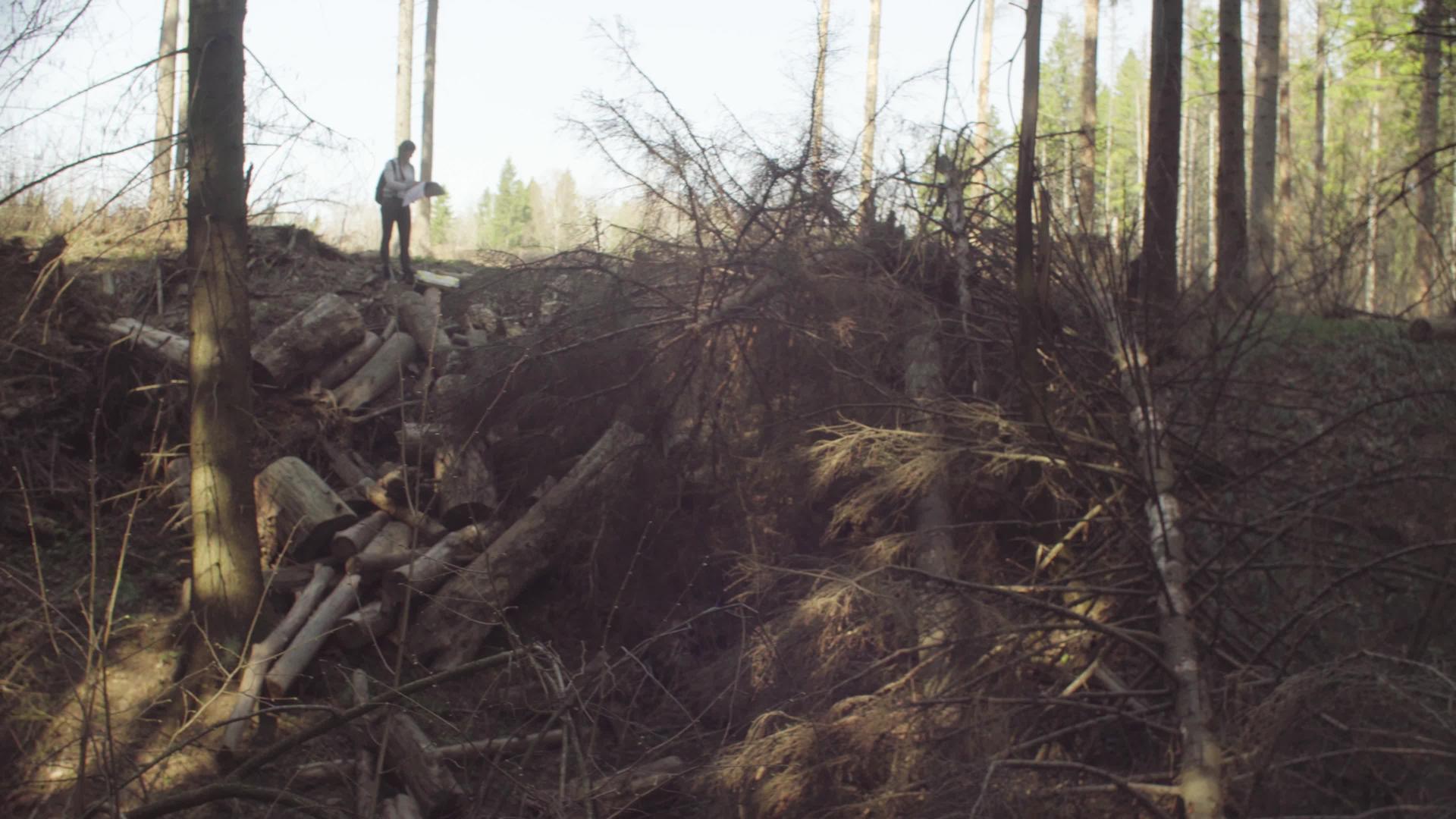 生态学家在地图上用森林砍伐标记视频的预览图