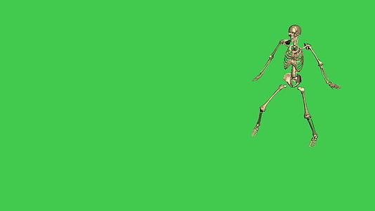 3D骨架棒球铅动画在绿屏上分开视频的预览图