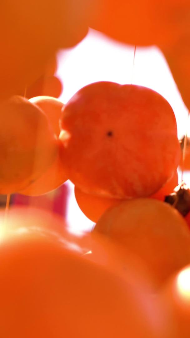 把柿子挂起来晾干柿饼视频的预览图