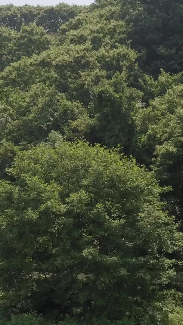 贵州湄潭航拍自然风景视频的预览图