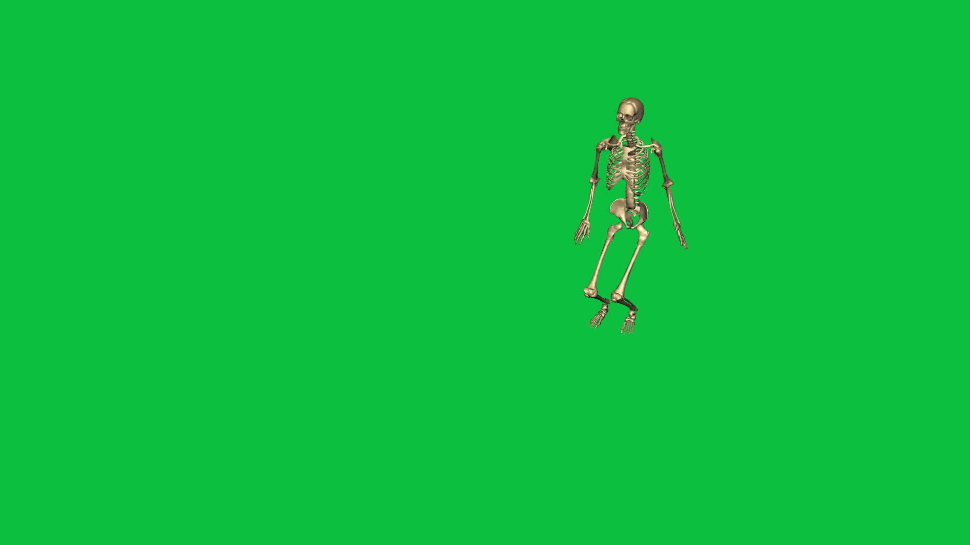3d动画的骨骼跳跃水平视频的预览图
