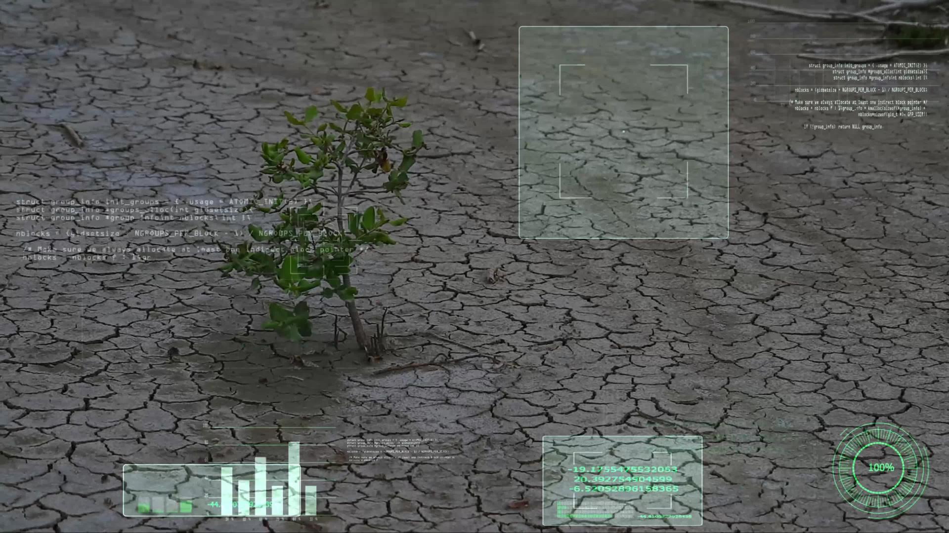 草药在旱地的生存率和Ai分析扫描和信息视频的预览图
