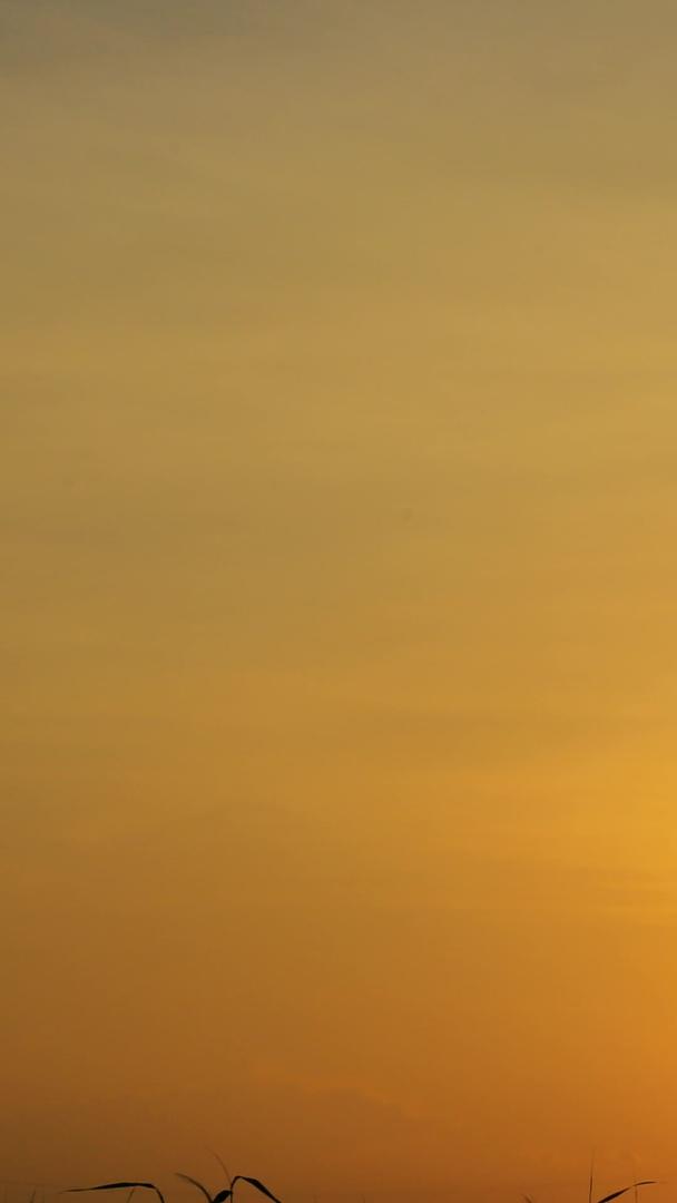 夕阳下的高楼夕阳云彩晚霞素材视频的预览图