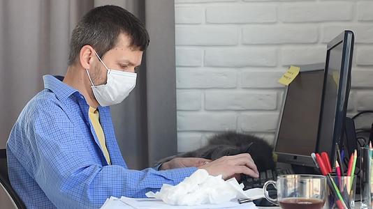 独立自由职业者在电脑上工作一只猫躺在桌子上视频的预览图