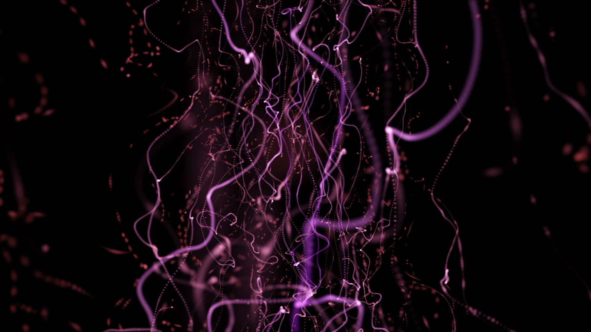 3d背景背景与扭曲的粒子串和光点视频的预览图