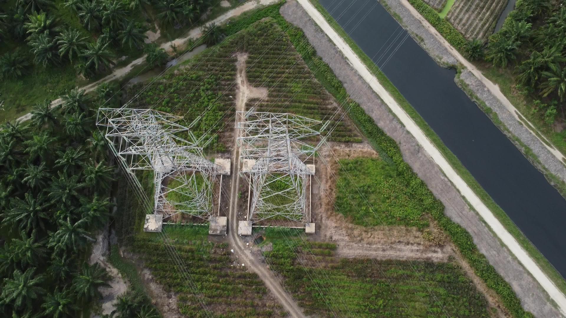 高压电平柱靠近油棕榈农业视频的预览图