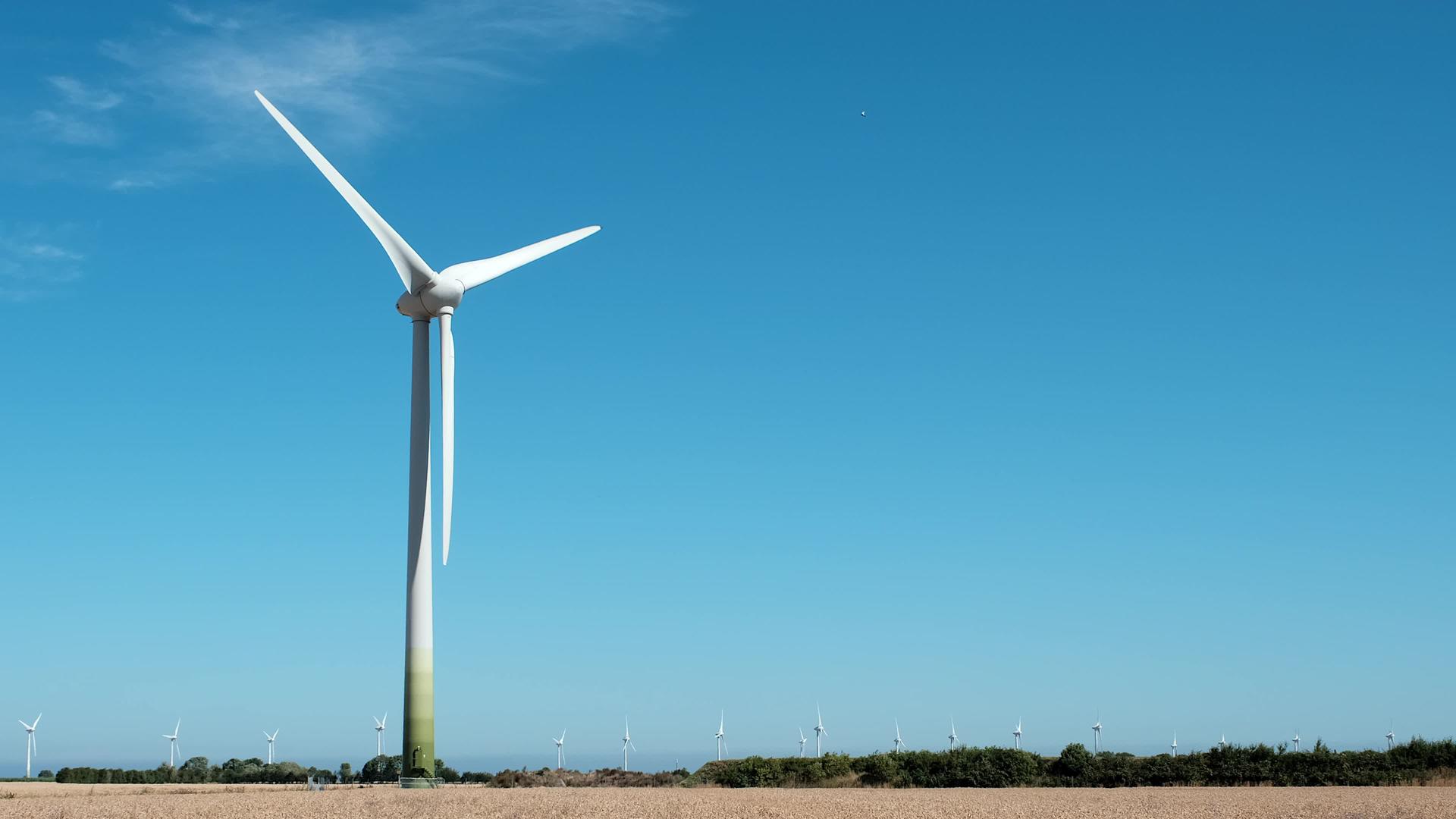 风力发电机的可再生能源和环境概念视频的预览图