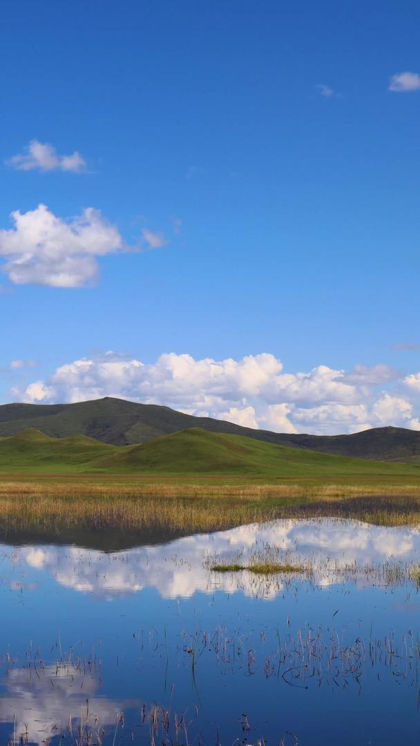 阿坝羌族自治州若尔盖花湖生态旅游景区延迟视频视频的预览图