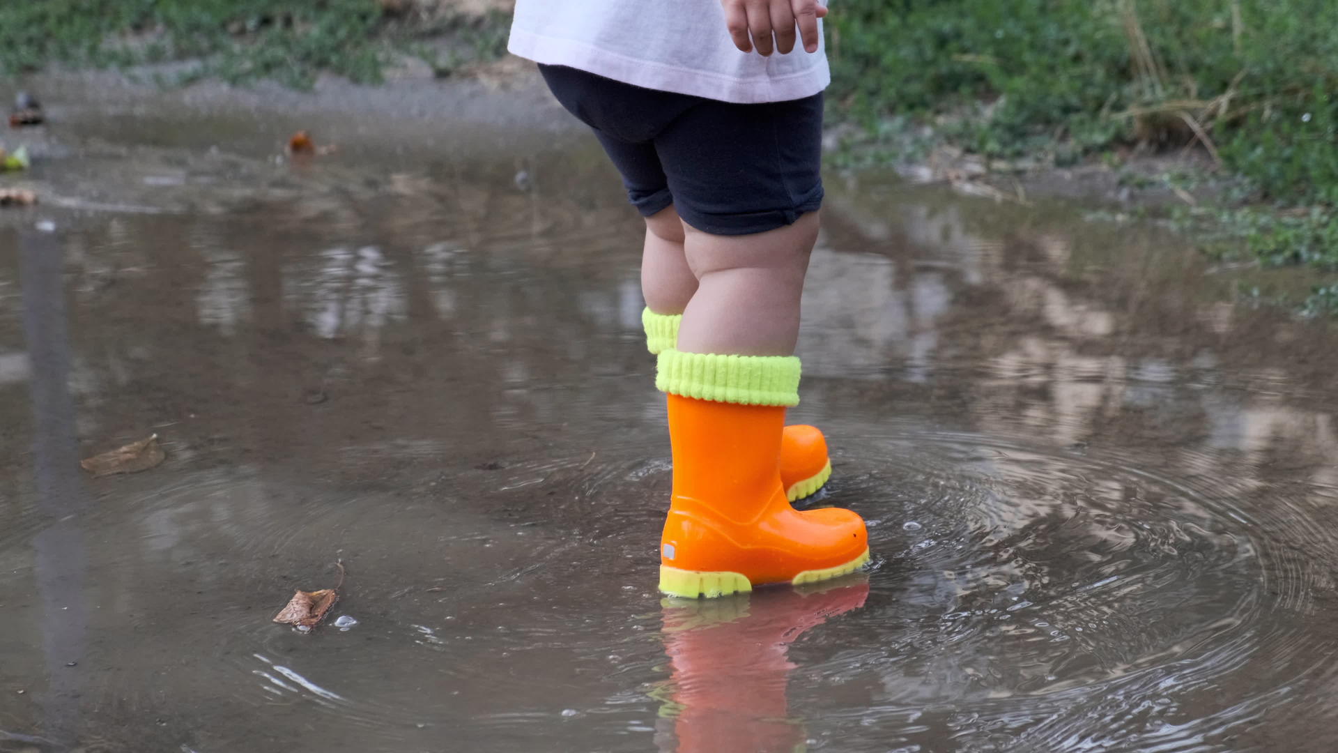 雨后在水坑里穿小靴子视频的预览图