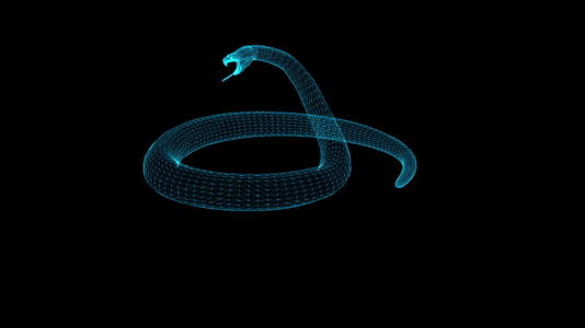 蛇以全息图线框样式显示视频的预览图