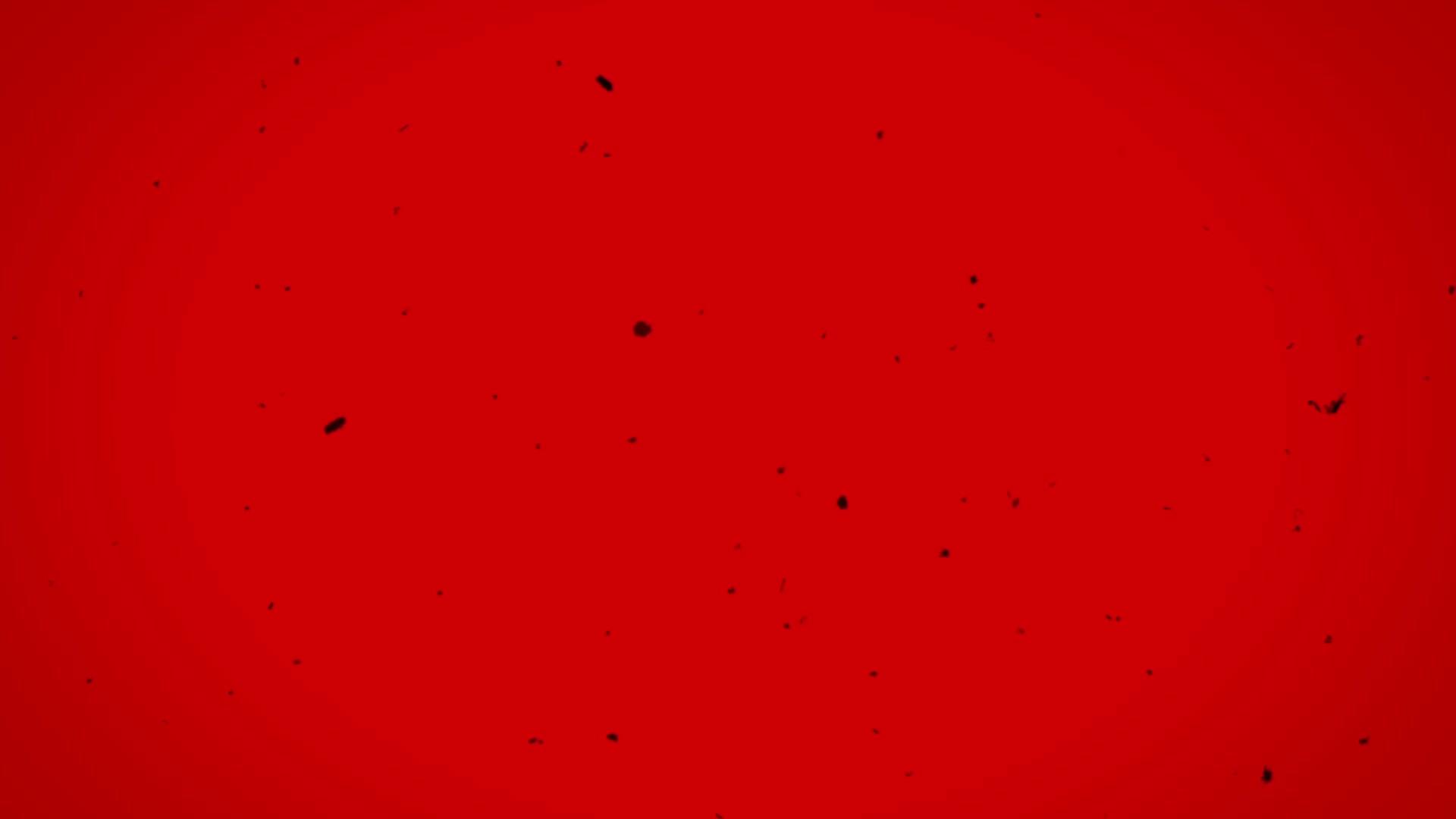 红色背景的老胶片效果hd视频的预览图