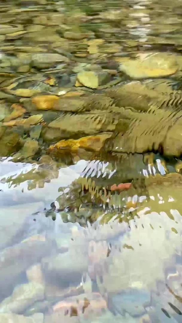 山脚下山泉水里冰镇西瓜视频的预览图