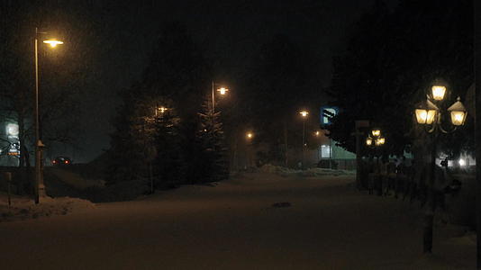 夜幕降雪大道的风景fir树和灯笼视频的预览图