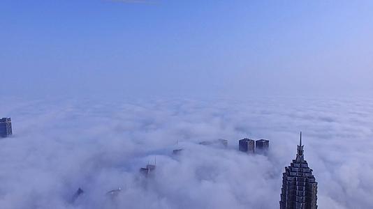 上海陆家嘴金茂大厦穿云航拍视频的预览图
