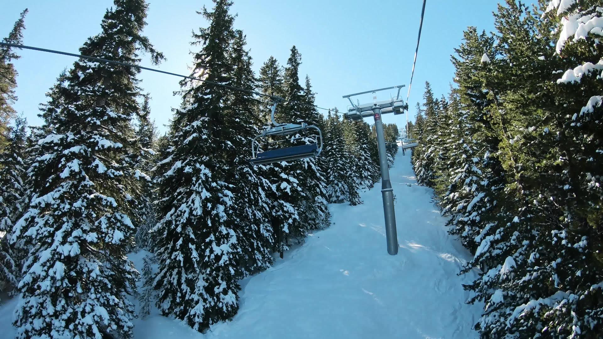 雪地上的雪林和滑雪机视频的预览图