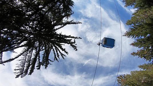 在松林树中移动Gondola下滑雪电梯视频的预览图