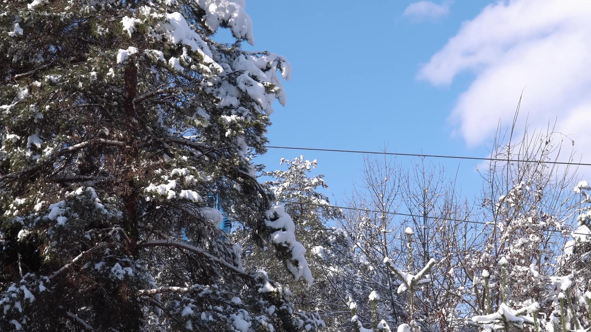有电缆汽车滑雪电梯视频的预览图