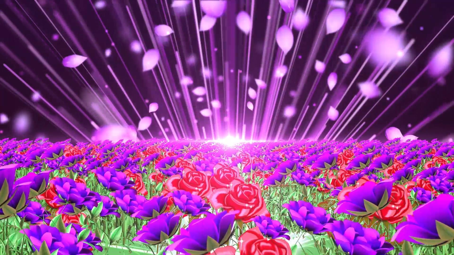 唯美大气粒子花海动态花瓣放射背景视频素材视频的预览图