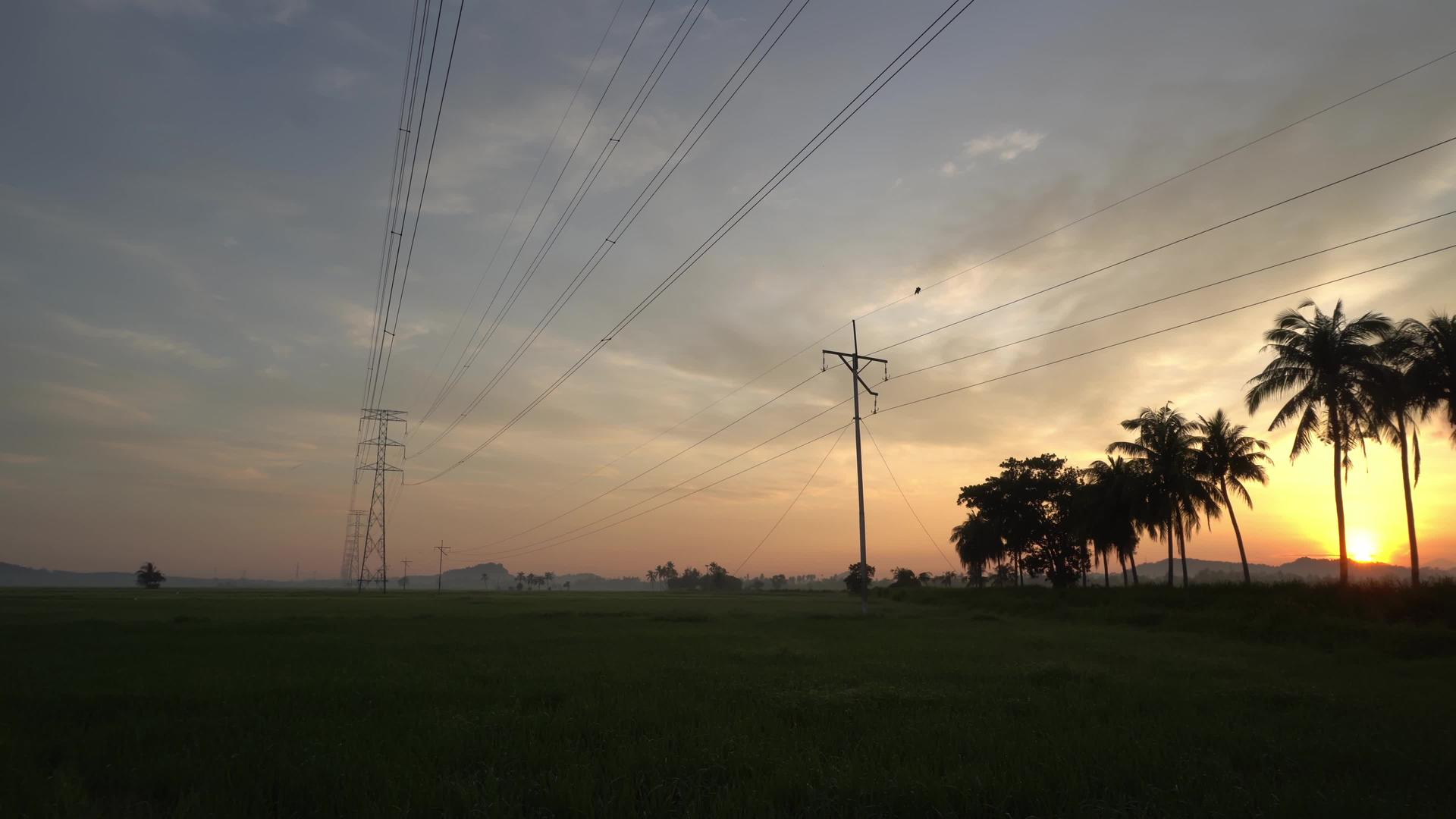 横跨稻田的椰子农场在电塔上方视频的预览图