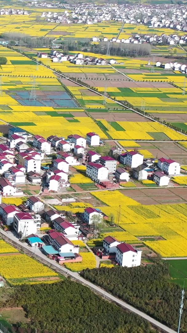 陕西省中洋县春季自然风光视频的预览图