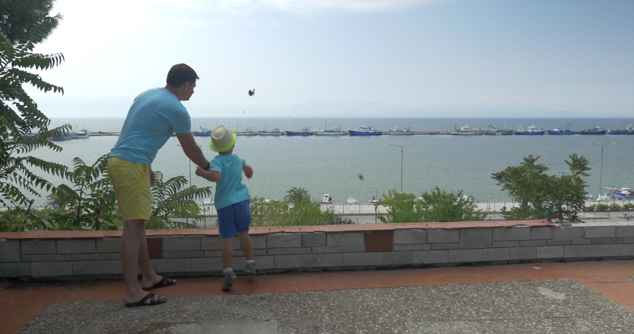 年轻人和他们的儿子向海上的船港扔石头灰熊黑鲸视频的预览图