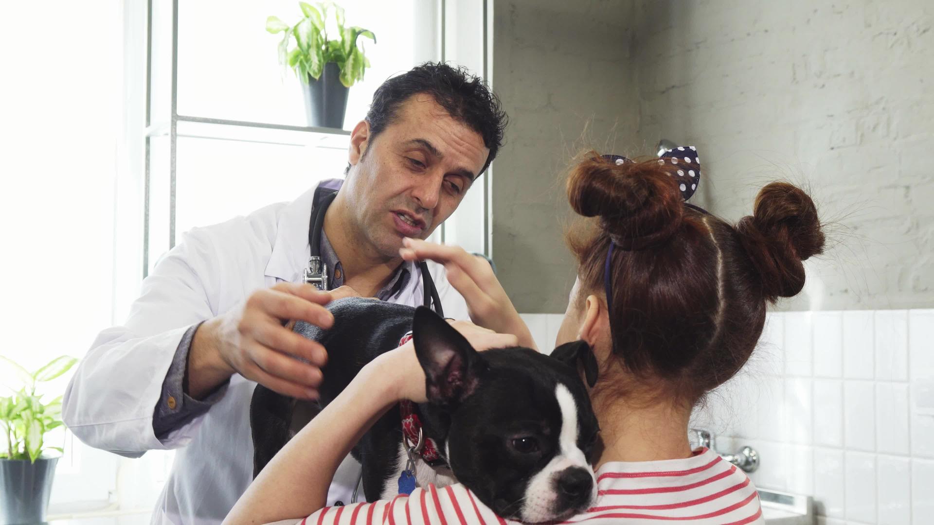 成熟的专业兽医在抚摸她的狗的同时和小女孩说话视频的预览图