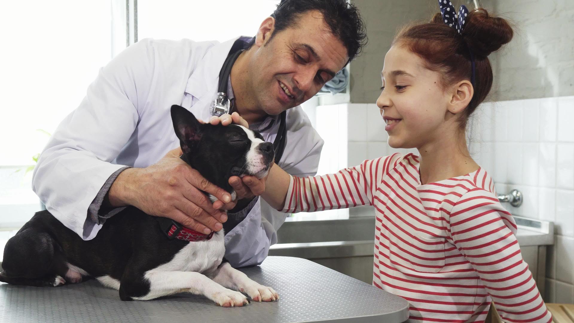 小女孩和她可爱的狗在诊所看专业兽医视频的预览图