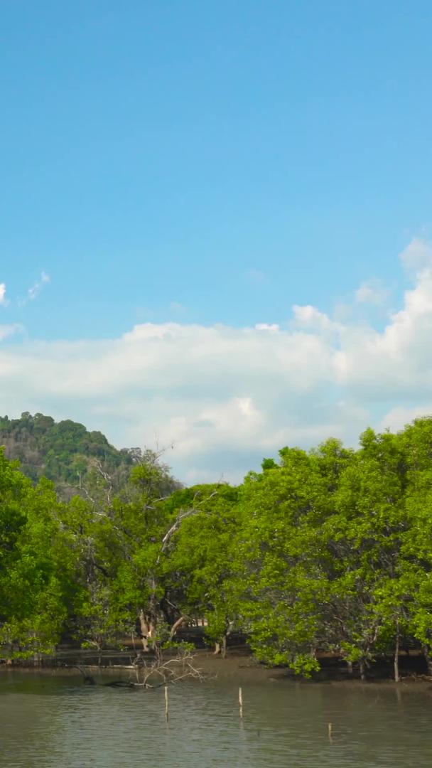 延迟泰国南部海岛红树林视频的预览图