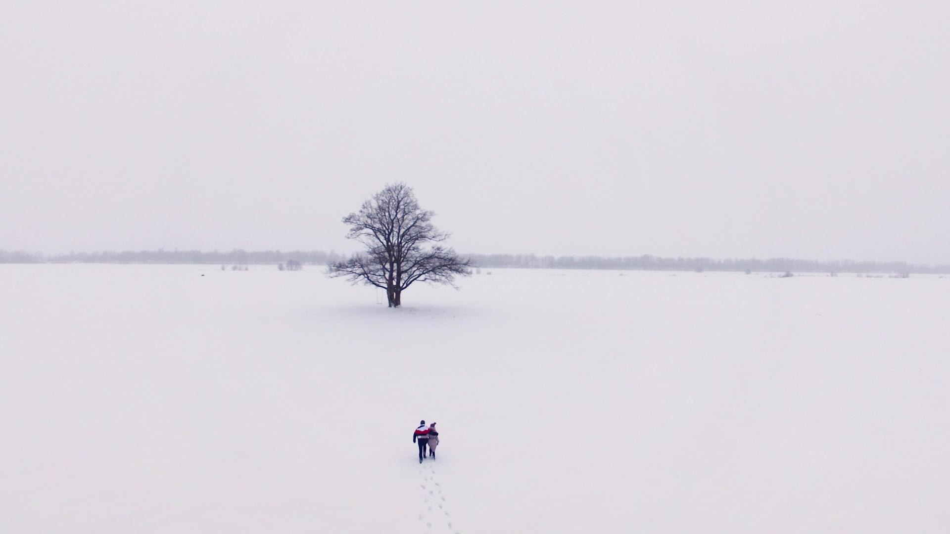 年轻可爱的情侣在冬天的雪地里行走视频的预览图