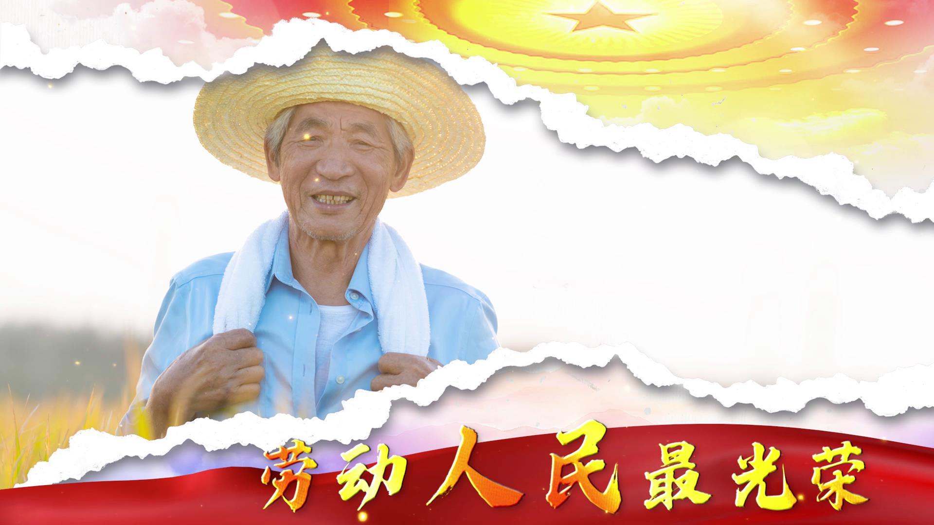 党政五一劳动节致敬劳动者图文视频的预览图